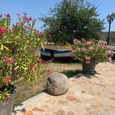 Διαμέρισμα нели