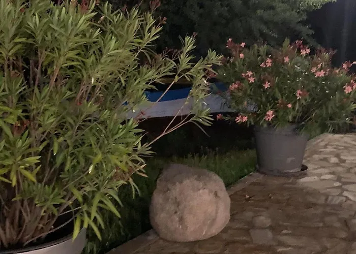 нели * Ravadinovo