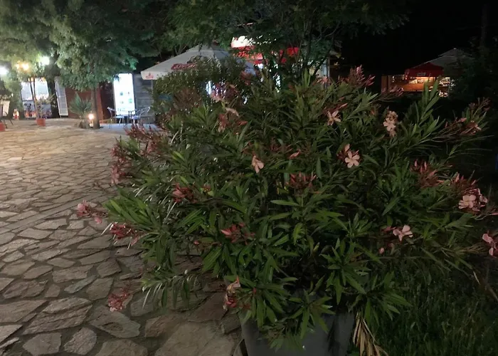 нели Διαμέρισμα *