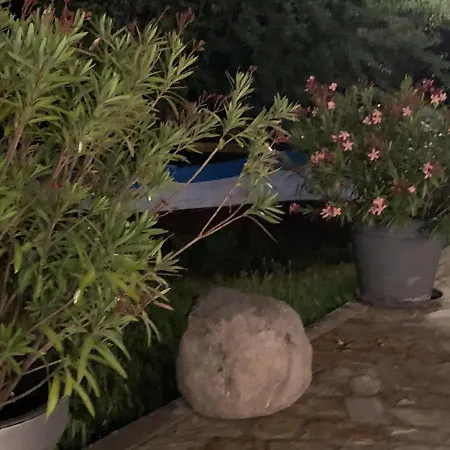 нели * Ravadinovo