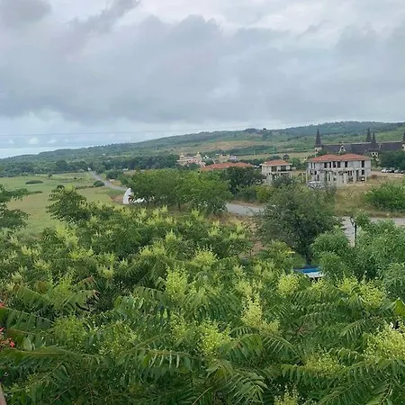 нели דירה Ravadinovo