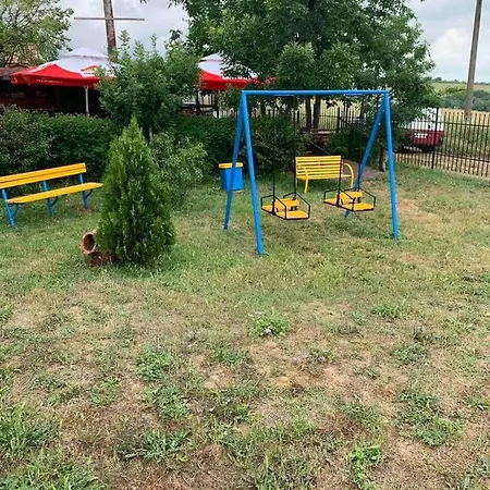 нели Ravadinovo
