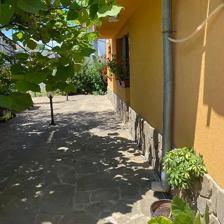 нели Apartament *