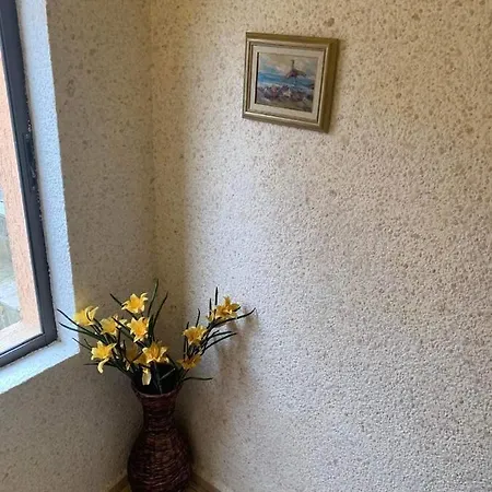 Apartament нели