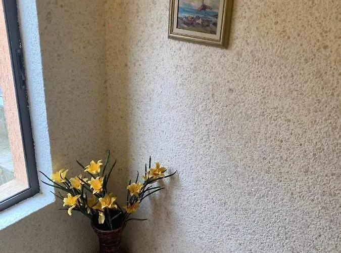 Апартаменты нели